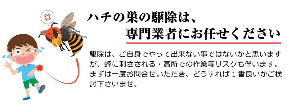 ハチの巣の駆除は専門業者にお任せ下さい