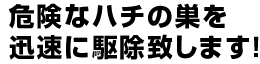 ハチの巣駆除！ハチの巣バスターズ