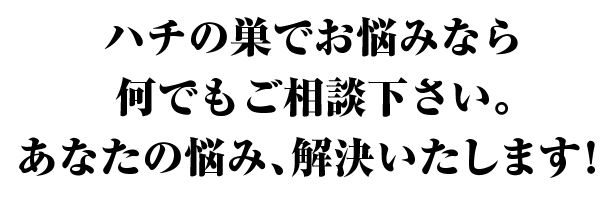 ハチの巣でお悩みなら何でもご相談ください。あなたのお悩み、解決いたします！